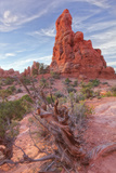 Sandstone Morning  Outside Moab