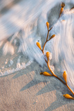 Late Light Beach Detail 2