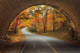 Autumn Tunnel Vision