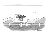 Welcome to Lovers' Leap  Assisted - New Yorker Cartoon