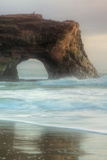 Natural Bridge Portrait  Santa Cruz
