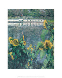 Sunflowers along the Seine  ca 1885–1886