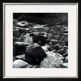 Mountain Stream