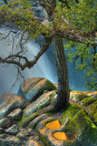 Cascade Tree
