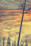 Grand Prismatic Detail