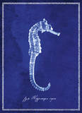 Seahorse