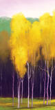 Spring Meadow