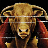 Bunch of Bull