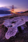 Scene at Golden Gate South