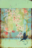 Cherry Blossoms
