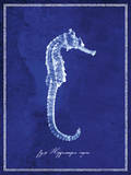 Seahorse
