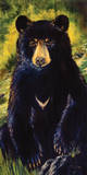 Solitary Vigil II