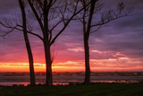 Sunrise at Ogunquit  Maine