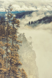 Canyon Mood and Mist