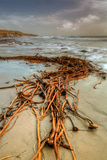 Beach Design and Seascape