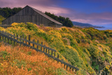 Sea Ranch Barn
