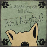 Am I adopted