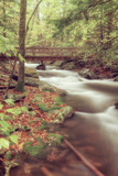 Dreamy Stream Bridge Scene