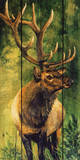 Solitary Vigil I