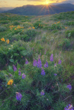 New Day at Rowena Plateau
