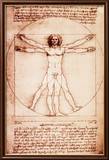 Vitruvian Man