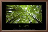 Grow