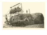 Stacking Hay