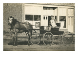 Horse  Buggy  Man  Dog