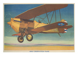 Army Observation Plane