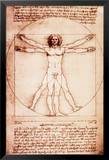 Vitruvian Man