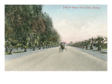 Drive at Orange Grove  Yuman  Arizona