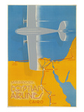 Airplane over Egypt