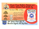 Advertisement for Hog Feed