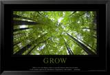 Grow