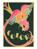 Color  Fantastic Bird