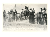 Out of the Chute  Bull Riding