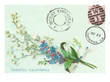 Old Fashioned Postcard  Topanga  California