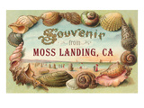 Souvenir from Moss Landing  California