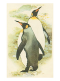 Emperor Penguins