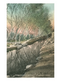 Irrigation Ditch  Tucson  Arizona