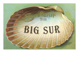 Souvenir from Big Sur  California