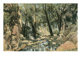 Arrowhead  Cold Water Canyon  California