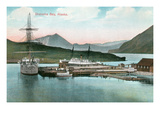 Unalaska Bay  Alaska