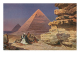 Arab with Camel at Pyramids  Giza  Egypt