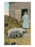 Sow and Piglets