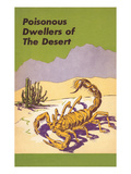Scorpion  Poisonous Desert Dweller