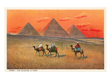 Giza Pyramid at Sunset  Egypt