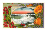 Season's Greetings from Santa Cruz  California
