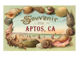 Souvenir from Aptos  California