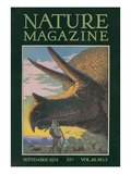 Triceratops Head  Nature Magazine